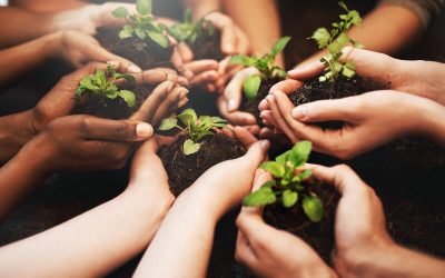 How CIOs can promote diversity and inclusion