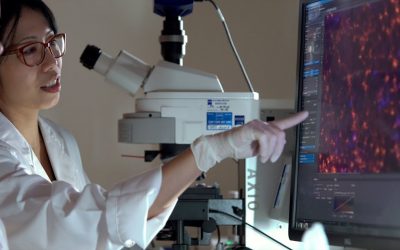 Microsoft Teams delivers healthy, real-time global collaboration for Heart Research Institute (HRI) in Australia