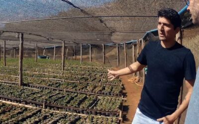 Customer Story: Clifton Coffee